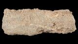 Fulgurite - Petrified Lightening #48365-1